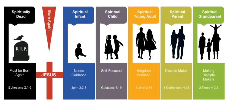 Spiritual-growth-stages - Coach The Bible