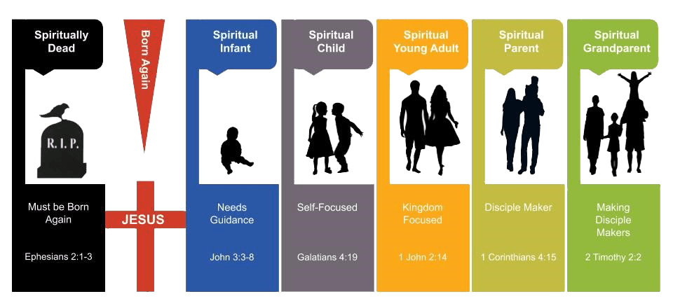 Spiritual-growth-stages - Coach The Bible